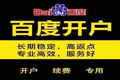 SEM推广实战：案例解析与策略探讨